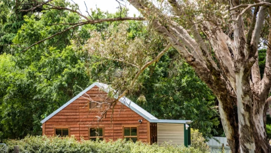 ‘Cullenbone Cottage’, among the gumtrees