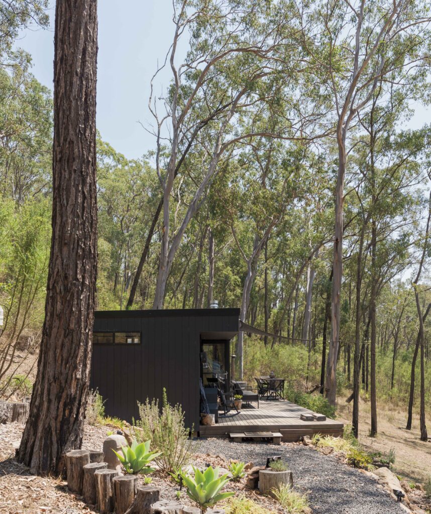 Tiny home in bush