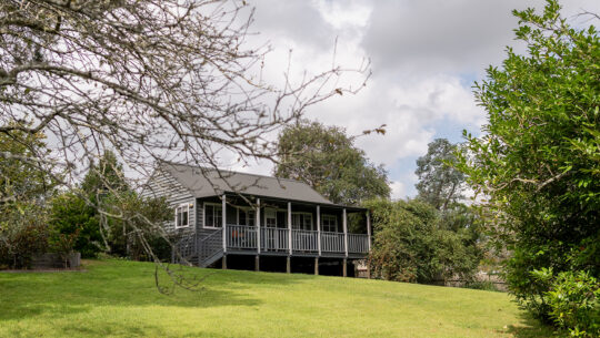 A backyard cabin: the perfect granny flat