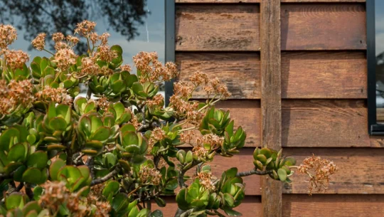 Protect and enhance your cladding with confidence