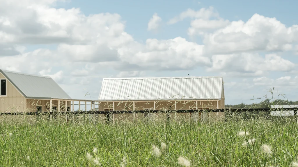 Back to Barn Basics: 5 Cedarspan uses you may not have thought of