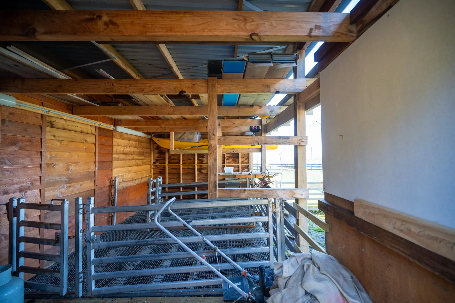 Shearing area inside a Greenspan Cedarspan 3060, with timber-lined walls, exposed rafters, steel penning and grated floor.