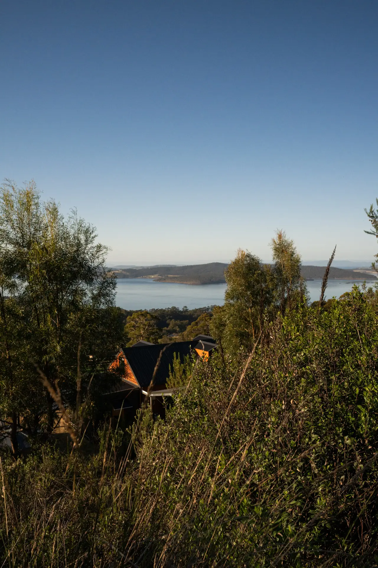 Greenspan Cedarspan 3060 with cedar gable ends and a dark roof, seen through gum trees above a wide waterway.